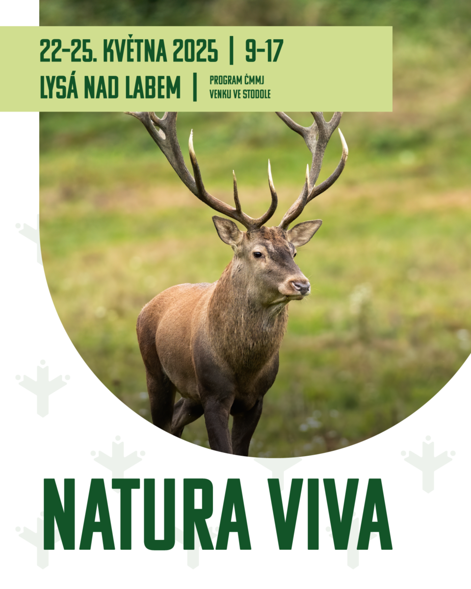 NATURA VIVA 2025